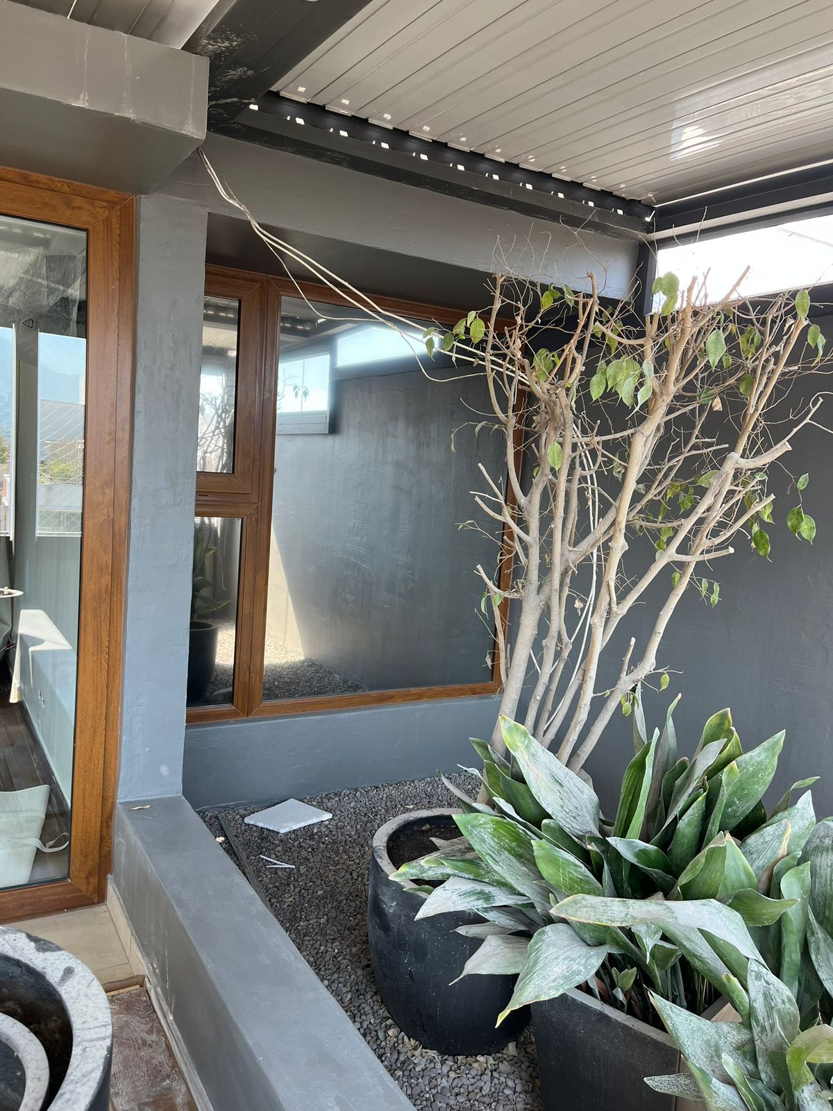 Vista exterior ventana PVC folio nogal en jardín